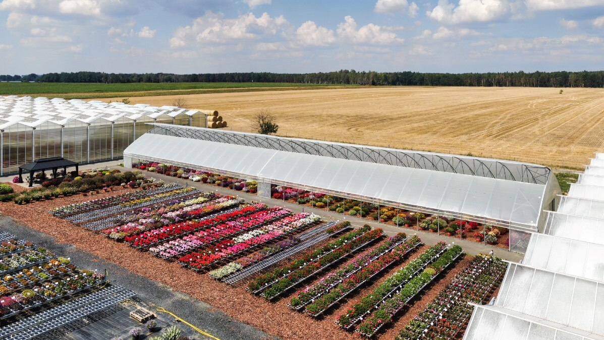 Luftbild Elsner pac, Gartenbaubetrieb mit Gewächshäusern und blühenden Freilandpflanzen, Getreidefeld im Hintergrund, heiterer Himmel